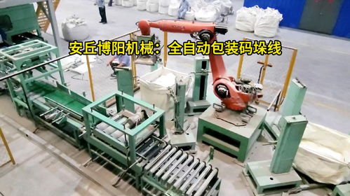 碳酸鈣粉全自動包裝碼垛線 50kg粉料全自動包裝碼垛機械手