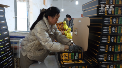 瀏陽:春節(jié)將近趕制花炮