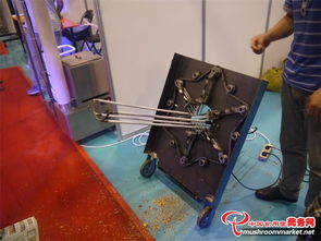 3000多項食用菌產品技術亮相青島會展