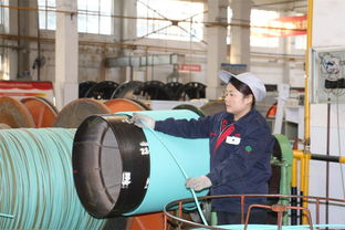 西橡連續(xù)四年位列橡膠行業(yè)百?gòu)?qiáng)企業(yè)