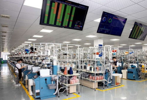 襪業(yè)之都的數(shù)字轉(zhuǎn)身 浙江諸暨大唐鎮(zhèn)的機(jī)械與材料轉(zhuǎn)型密碼