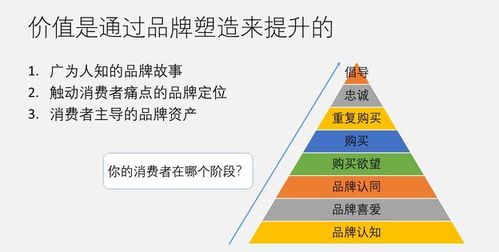 移動(dòng)互聯(lián)網(wǎng)時(shí)代品牌建設(shè)與營(yíng)銷戰(zhàn)略——以互聯(lián)網(wǎng)銷售為核心